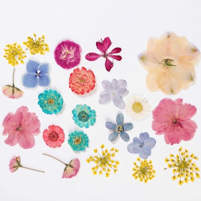 86pcs Pressed Flowers for Resin, Dried Flowers and Dry Leaves for Scrapbooking - Image 3