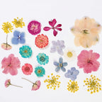 86pcs Pressed Flowers for Resin, Dried Flowers and Dry Leaves for Scrapbooking - Image 3