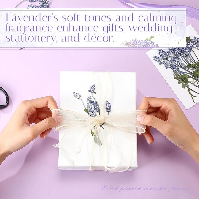 Wavwavw 100 Pcs Pressed Dried Lavender Flowers Stems Natural Preserved Real - Image 6