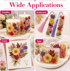 163 pcs Dried Flowers for Resin, Natural Flowers and Leaves Kit - Image 7