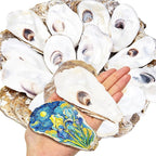 SINKOO 20PCS Flat Oyster Shells 4"-6", Large Oyster Shells by SINKOO