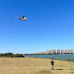 Large Single Line Beach Kite for Adults - Image 4