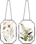 Qunclay 2 Pcs Double Glass Frame by Qunclay