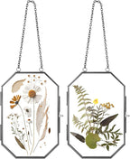 Qunclay 2 Pcs Double Glass Frame by Qunclay