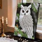 GEMFAMILY Owl Diamond Art Painting Kits - Image 3