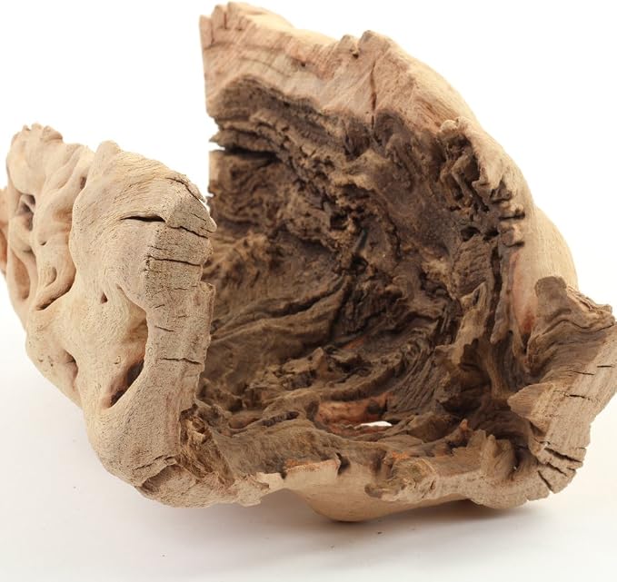 Koyal Wholesale 10" Hollow Grapewood Branch Decor 1Pcs Grapewood Centerpiece - Image 3