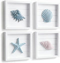 Tide and Tales 3D Seashells & Starfish Coastal Wall Art Decor Beach Wall Decor by TideandTales