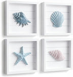 Tide and Tales 3D Seashells & Starfish Coastal Wall Art Decor Beach Wall Decor by TideandTales