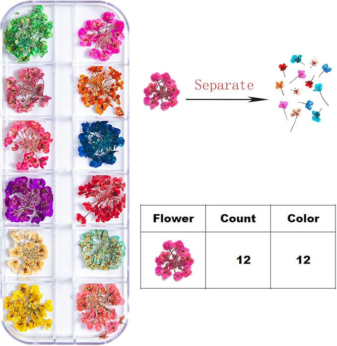 Dried Flowers for Nail Art Resin Jewelry Crafts - Image 7
