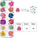 Dried Flowers for Nail Art Resin Jewelry Crafts - Image 7