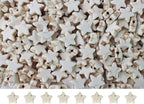 Turquoise Star Beads Bulk for Jewelry Making 300pcs 8 * 12mm White Natural by PAMIRTONG