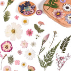 80PCS Pink Pressed Dried Flowers Dry Leaves - Image 3