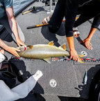 Rapala 60 Inch Retractable Fish Measuring Ruler | Tournament Fish Measuring - Image 3