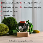IFOLAINA Butterfly Crystal Ball Gifts Ideas - Image 3
