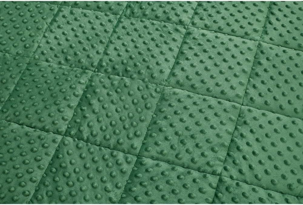 TONGDADA Minky Weighted Blanket | 40''x60'', 10lbs | Cozy and Soft Minky - Image 8