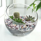 Pulovin 10 lbs Pea Gravel for Plants, Fish Tank, 3/8 inch Decorative Pebbles - Image 6