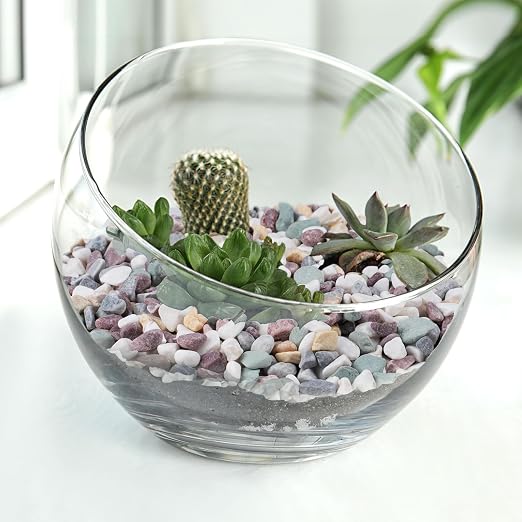 Pulovin 10 lbs Pea Gravel for Plants, Fish Tank, 3/8 inch Decorative Pebbles - Image 6