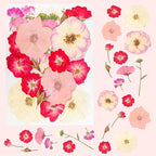 50Pcs Dried Pressed Flowers Real Pressed Flowers Natural Dry Leaves Bulk Mixed - Image 6
