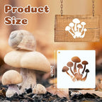 Fainne 100 Pcs 2 Inch Stencils Small Stencils - Image 2