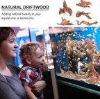 Natural Driftwood Decor for Aquarium Decorations Reptile Tank Accessories - Image 2