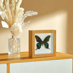 5x5 Small Shadow Box Picture Frame - Image 7