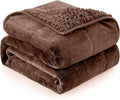 Cottonblue Weighted Blanket for Adults 15 lbs Twin Size 48x72 in, Cozy Flannel by Cottonblue