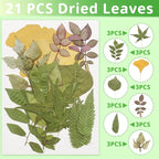 63 Pcs Real Dried Pressed Leaves Natural Assorted Dried Greenery - Image 4