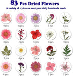 83 Pcs Pink Real Dried Pressed Flowers Natural Leave Petals - Image 4