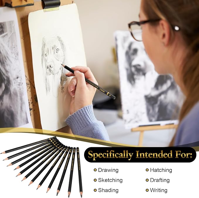 360 Pcs Drawing Sketching Pencil Set Professional Graphite Charcoal Gift Bulk - Image 5