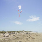 In the Breeze Coloring Sled 18 Inch Kite - Image 4