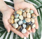 DUQGUHO Amazonite Crystals Healing Crystal Stones Set Natural Crystals Bulk - Image 6