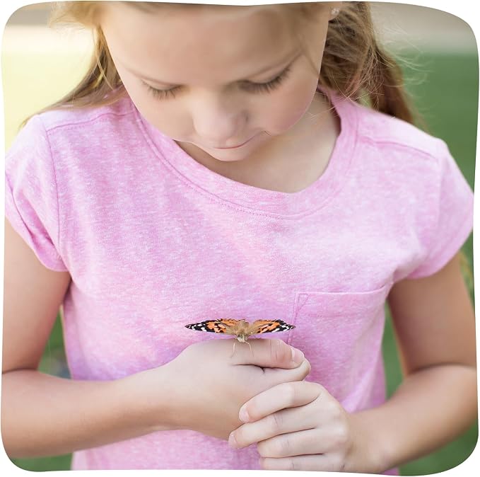 Insect Lore Raise and Release Butterfly Garden Kit – Caterpillar Habitat - Image 11