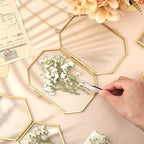 Tinideya 100 Pcs Dried Babys Breath Flowers Bulk Babys Breath Real Pressed - Image 6