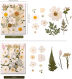 110+PCS Pressed Flowers for Resin, Colorful-i | Real Dried Flower Leaves - Image 5