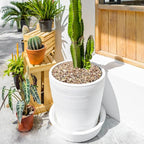 YISZM 10LB Succulent and Cactus Gravel Pebbles, 1/5 Inch Natural Decorative - Image 5