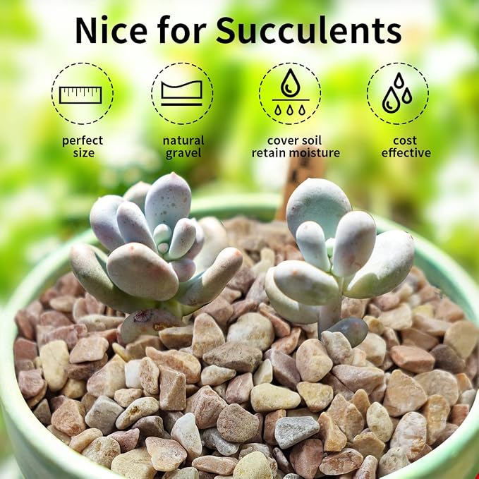 FANTIAN 5lbs Natural Pea Gravel Pebbles, 3/8 Inch Decorative Succulent Rocks - Image 4