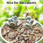 FANTIAN 10 LB Natural Pea Gravel Small Pebbles - Image 5