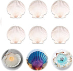 6PCS Scallop Shells for Crafts 4''-5'' Natural White Large Shells Decoration by PremiumYardSignsJoyfulPartyEssentialsForEverysingleHome