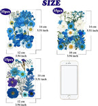 85 Pcs Blue Pressed Dried Flowers - Image 5