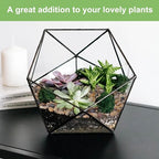 Pulovin 2.5 lbs Drainage Rocks for Potted Plants, 1/5 Inch Small Pebbles for - Image 5