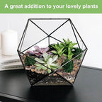 Pulovin 5 lbs Drainage Rocks for Potted Plants, 1/5 Inch Small Pebbles for - Image 5