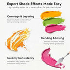 Acrylic Paint Set with 12 Art Brushes, 36 Colors Acrylic Paint - Image 6