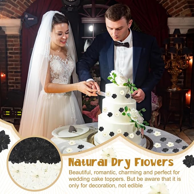 Woanger 100 pcs Dried Pressed Flowers Small Dry Flowers Real Natural Resin - Image 5