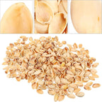SEWACC Empty Pistachio Shells for DIY Crafts, Natural Handicraft Material for - Image 7