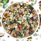 YISZM 2LB Succulent and Cactus Colorful Pebbles, 3/8 Inch Pebbles by YISZM-ForYourNaturalLife