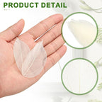 uxcell 100 Pcs White Skeleton Leaves - Image 3