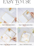 REDHUGO Glass Pressed Flower Frame Handmade, Floating Picture Frames - Image 6