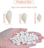 Approx 700pcs Small White Clam Cay Seashells Natural Tiny Sea Shell Mini Spiral - Image 3