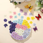 Woanger 100 pcs Dried Pressed Flowers Small Dry Flowers Real Natural Resin - Image 6