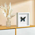 8x8 Shadow Box Picture Frame - Image 8